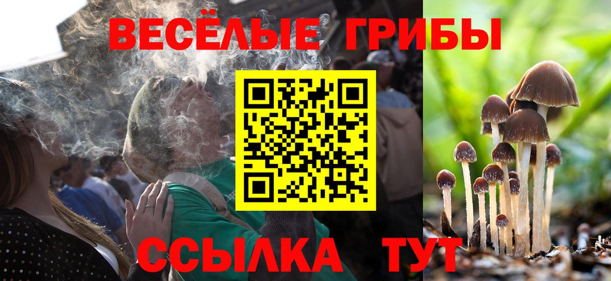 Псилоцибиновые грибы MAGIC MUSHROOMS  как найти наркотики  Фурманов  Вход с VPN 